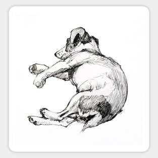 Richard's dog sleeping Sticker